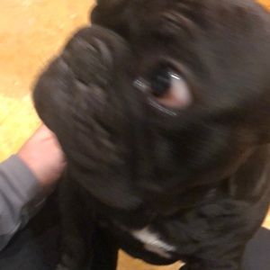 Meet your Posher, Doron